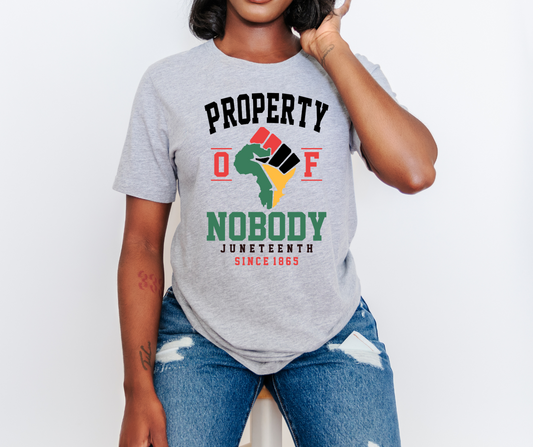 Property Of Nobody DTF Transfer