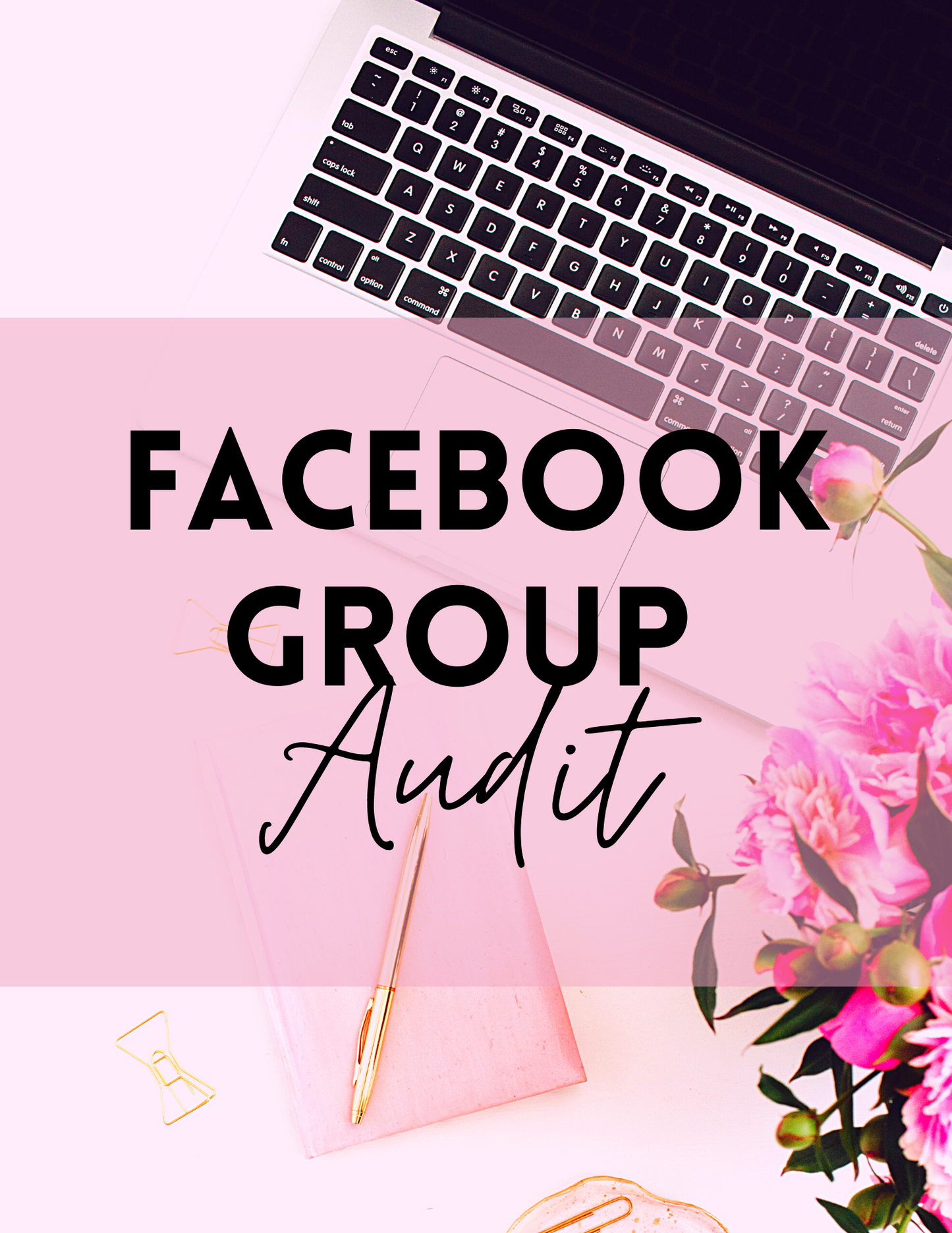 Facebook Group Audit